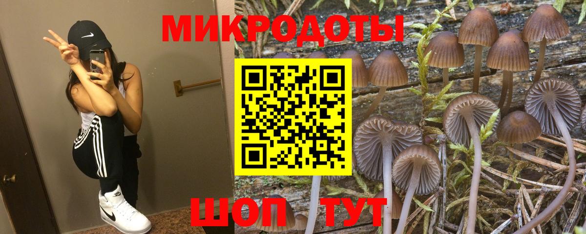 наркошоп  Псилоцибиновые грибы мицелий  Павловский Посад  Вход с VPN  Галлюциногенные грибы MAGIC MUSHROOMS 